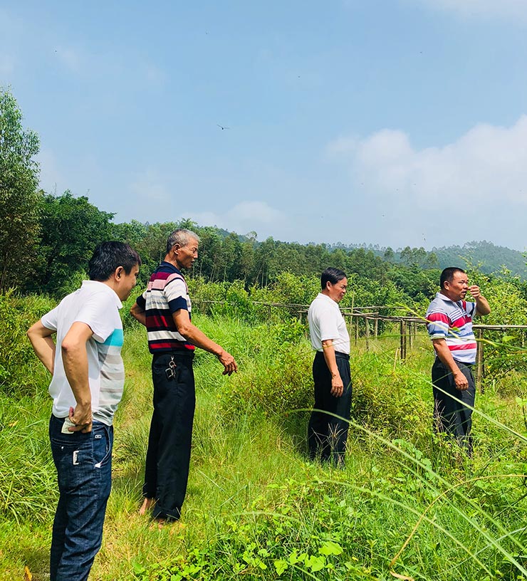 首页- 尊龙集团中国官方网站