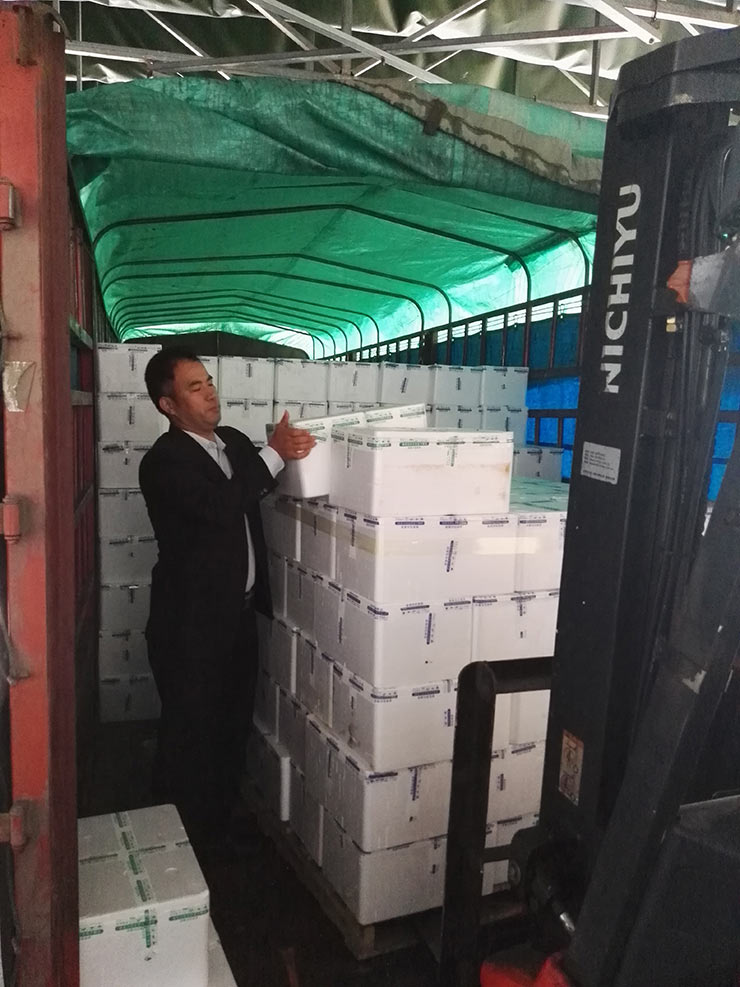 首页- 尊龙集团中国官方网站