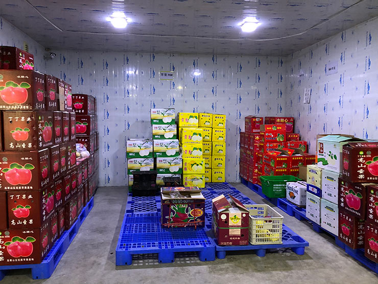 首页- 尊龙集团中国官方网站