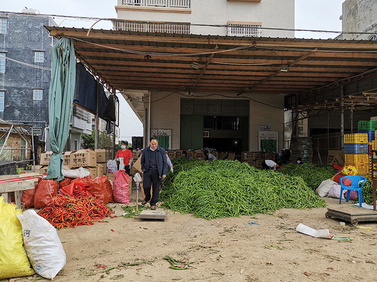 首页- 尊龙集团中国官方网站