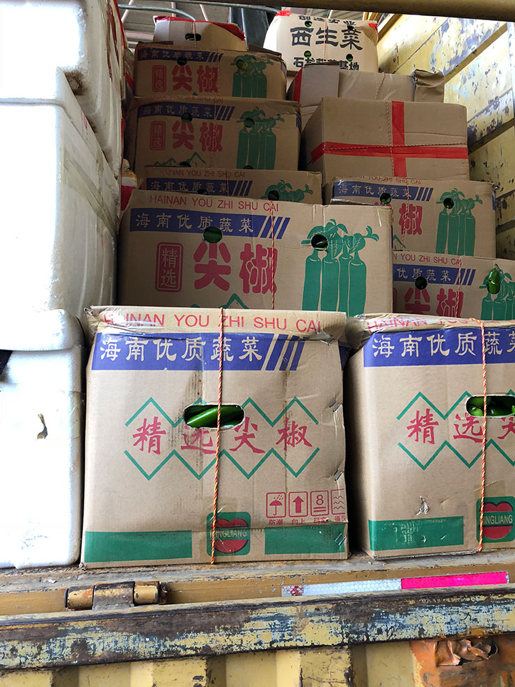 首页- 尊龙集团中国官方网站