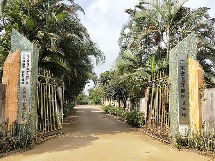 首页- 尊龙集团中国官方网站