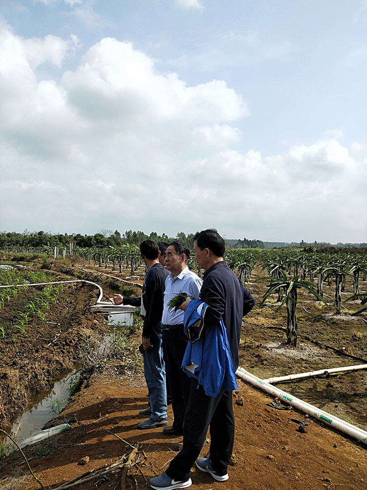 首页- 尊龙集团中国官方网站