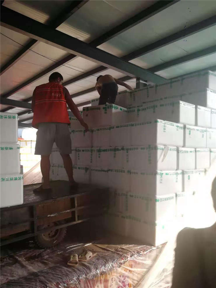 首页- 尊龙集团中国官方网站