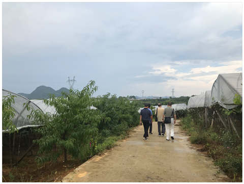 首页- 尊龙集团中国官方网站