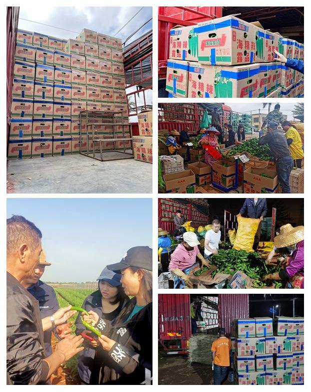 首页- 尊龙集团中国官方网站