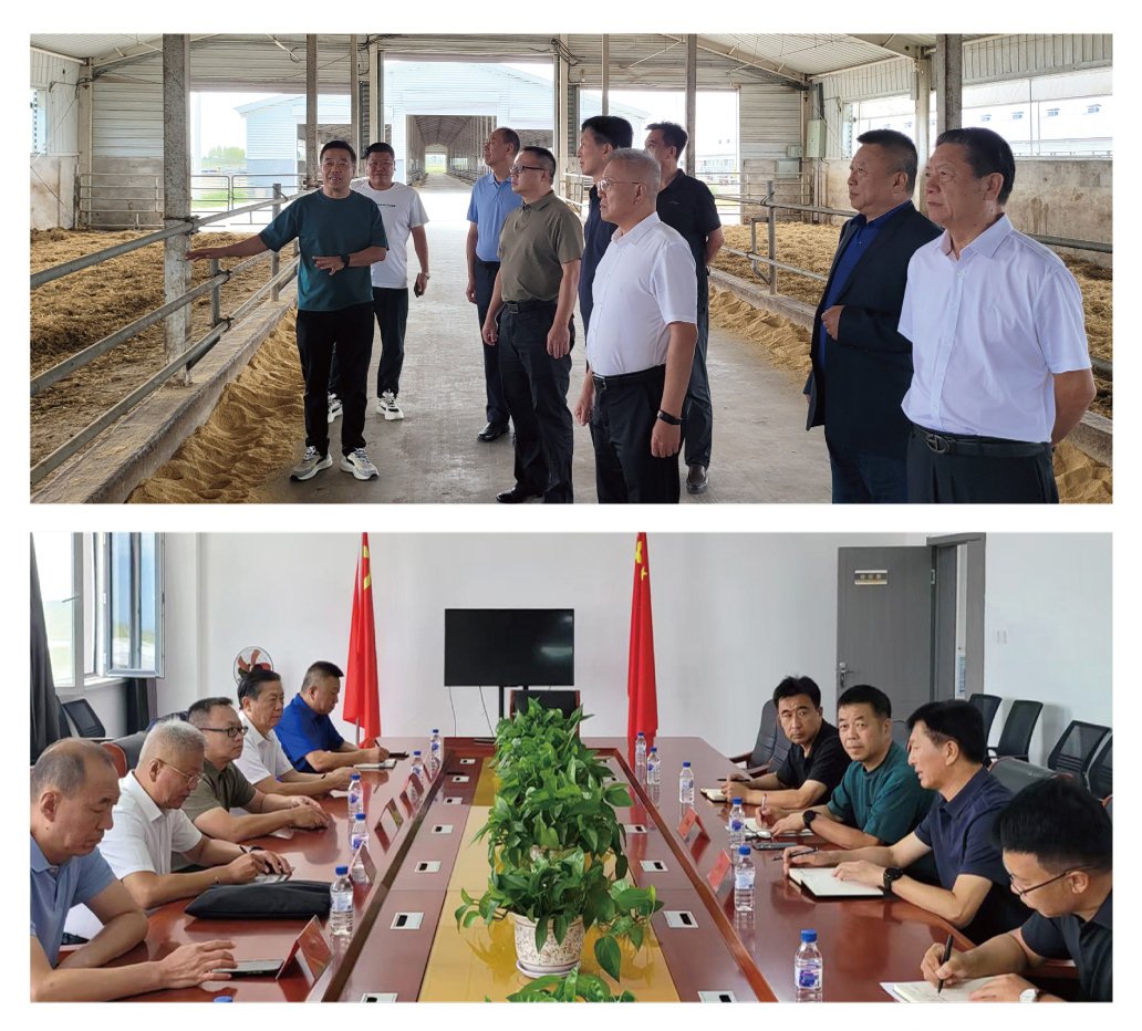 首页- 尊龙集团中国官方网站